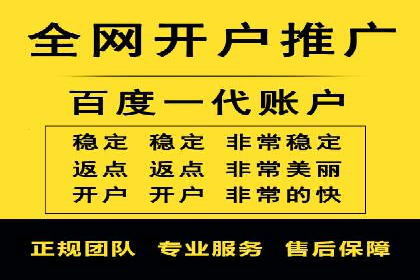 百度推广公司的成功案例：如何实现广告投资回报最大化